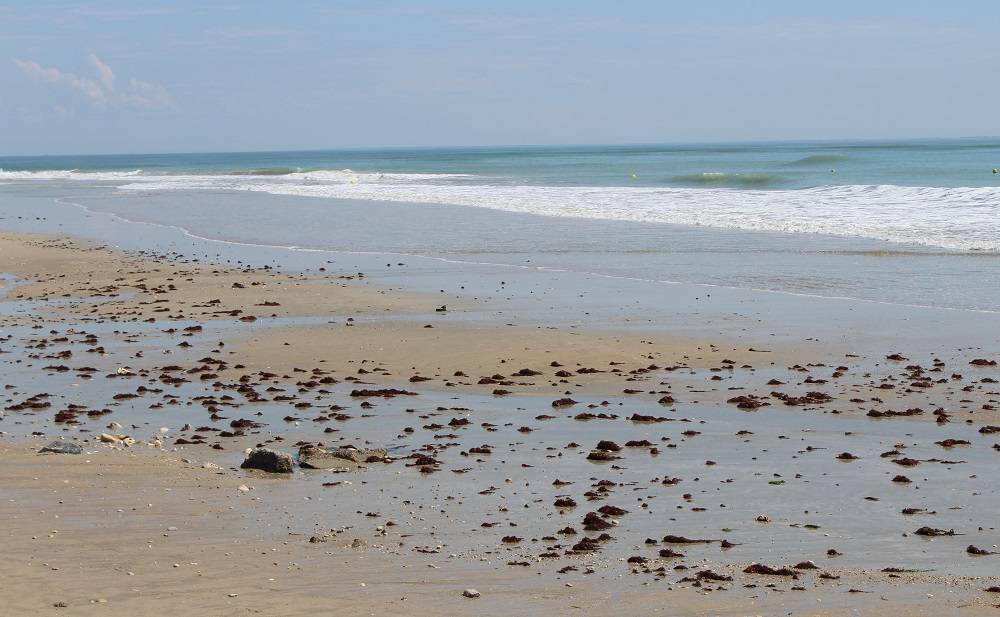 Les Plages De L Ile De Re Campings Atlantique
