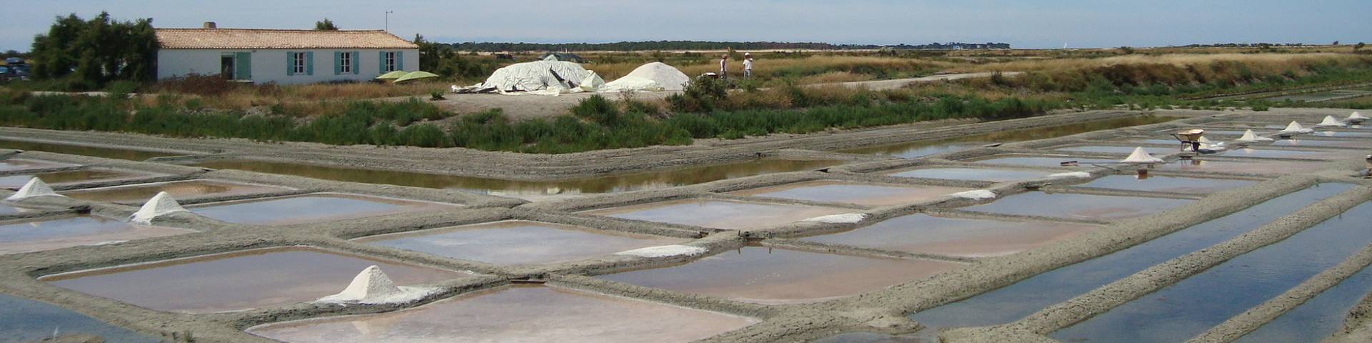 Les Marais Salants De L Ile De Re Campings Atlantique