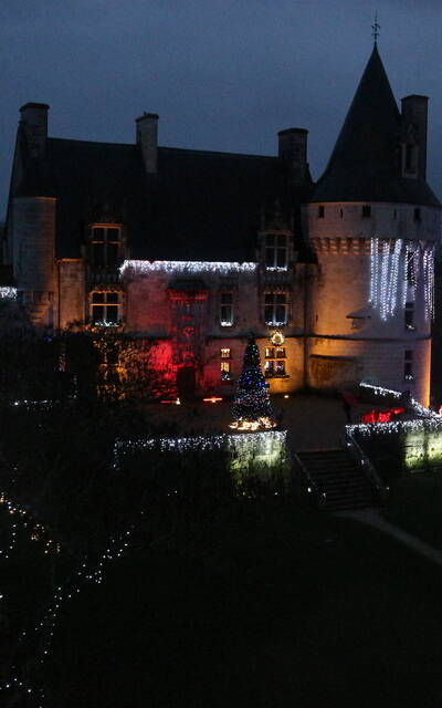 Château de Crazannes illuminé - © FDHPA 17
