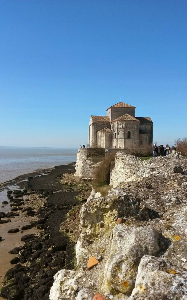 Cognac tient son attraction phare de Noël avec le sapin magique - Charente  Libre.fr