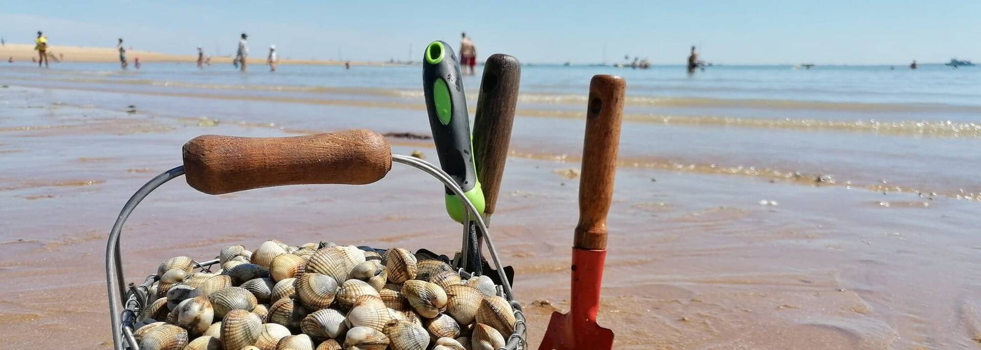 Pêche à pied sur l'estran - panier