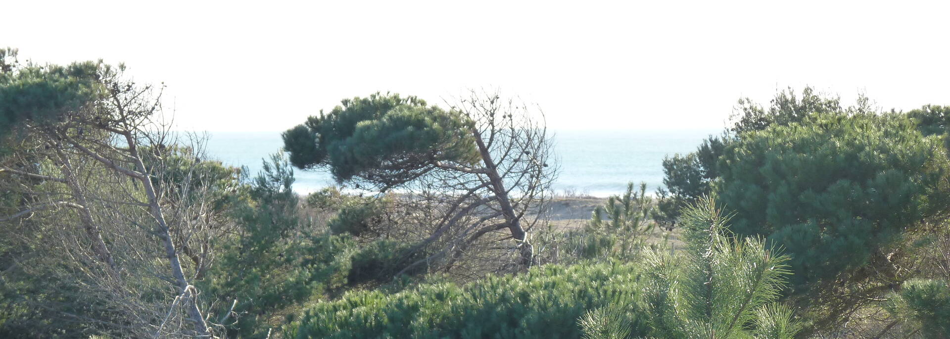 Accès à la plage de Boyardville