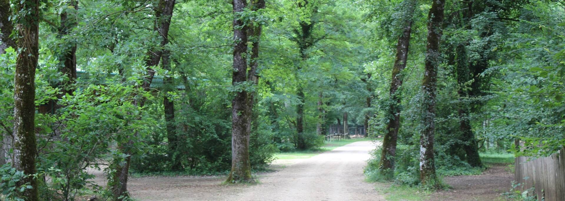 Zoodyssée : 30 hectares d'une nature préservée - ©P.Migaud / FDHPA17