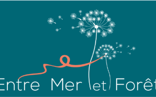 Coordinateur accueil / Réception et assistante de Direction H/F