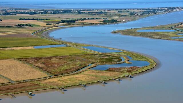 L'estuaire de la Charente - ©FDHPA17