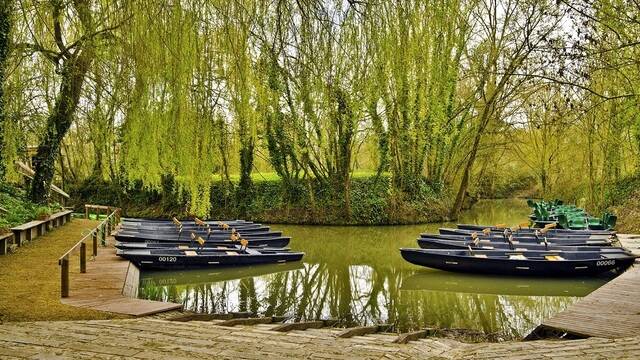 Barque dans la Venise Verte - ©Shutterstock