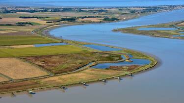 L'estuaire de la Charente - ©FDHPA17