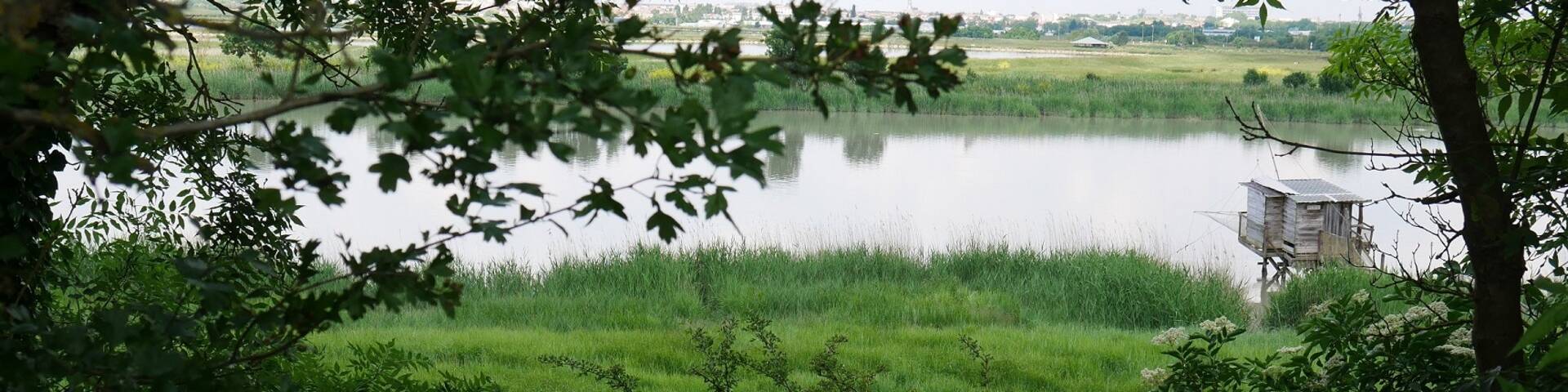 Vue sur la Charente ©Virginie Baumard / FDHPA 17