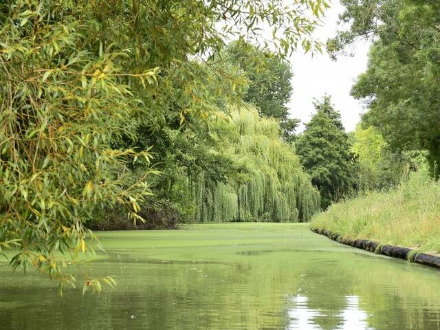 Vue du Marais poitevin
