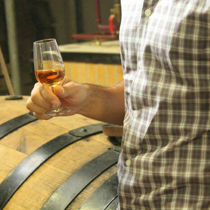 Dégustation de cognac - S.Nadouce / Charentes Tourisme