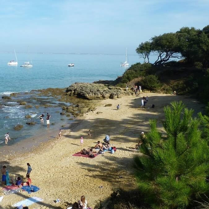 Crique cachée de l'île d'Aix - P.Migaud FDHPA17