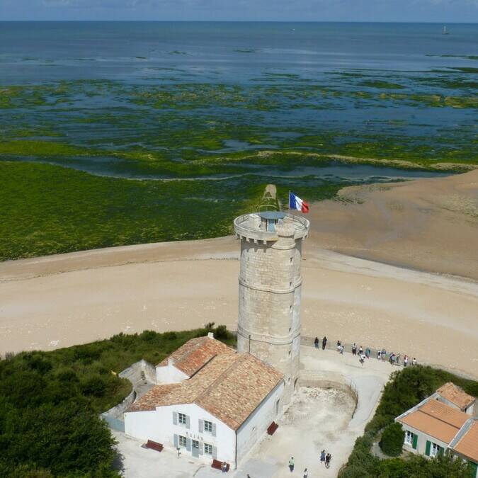 La vieille tour devant le phare des baleines - © P.Migaud / FDHPA17