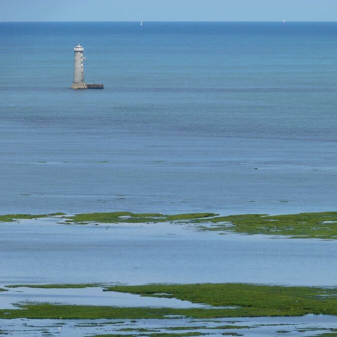 Au loin, le phare des baleineaux - ©P.Migaud / FDHPA17