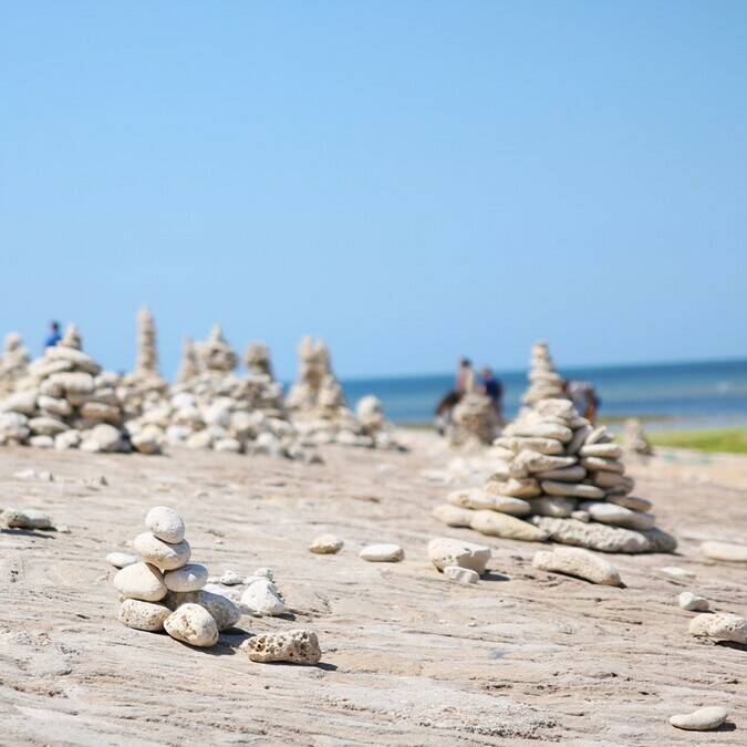 Sculptures naturelles sur une place du nord de l'île de Ré -  ©PW Photographie / FDHPA17