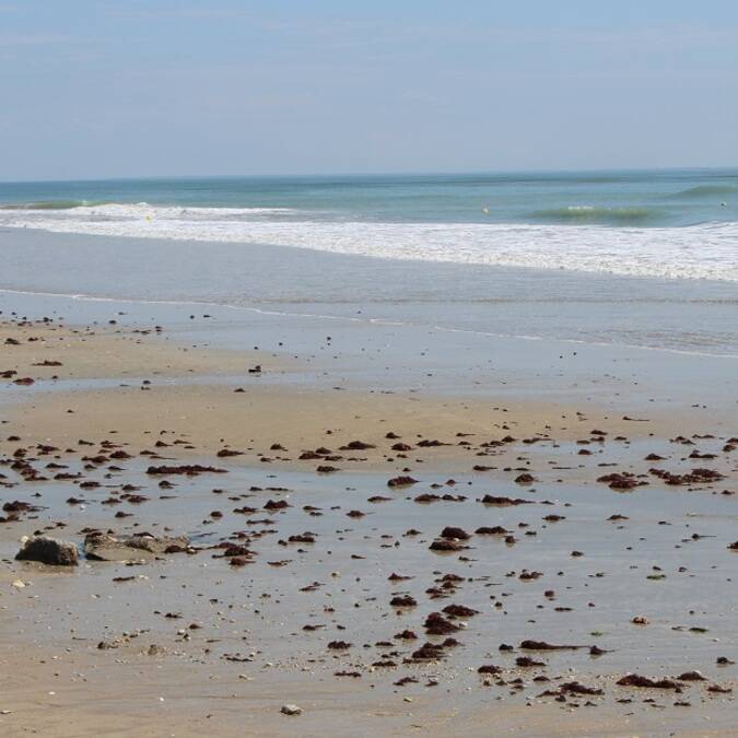 Grande plage de sable blanc sur l'île de Ré - ©P.Migaud / FDHPA17
