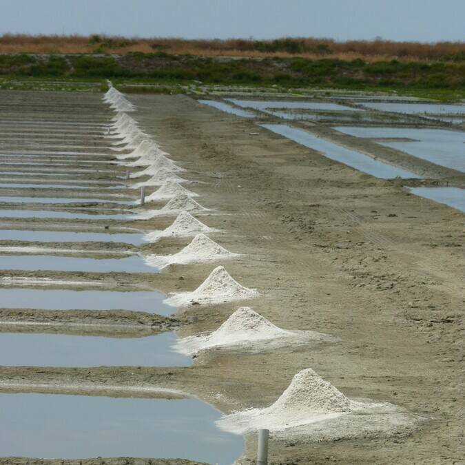 Marais salants de l’île de Ré © FDHPA 17