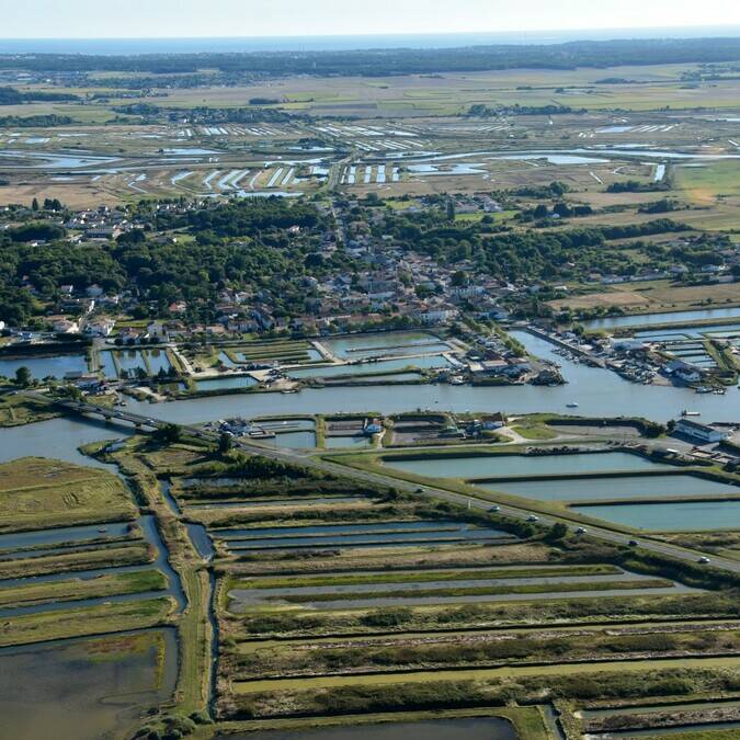 Vue aérienne de Mornac sur Seudre - ©P.Migaud / FDHPA 17