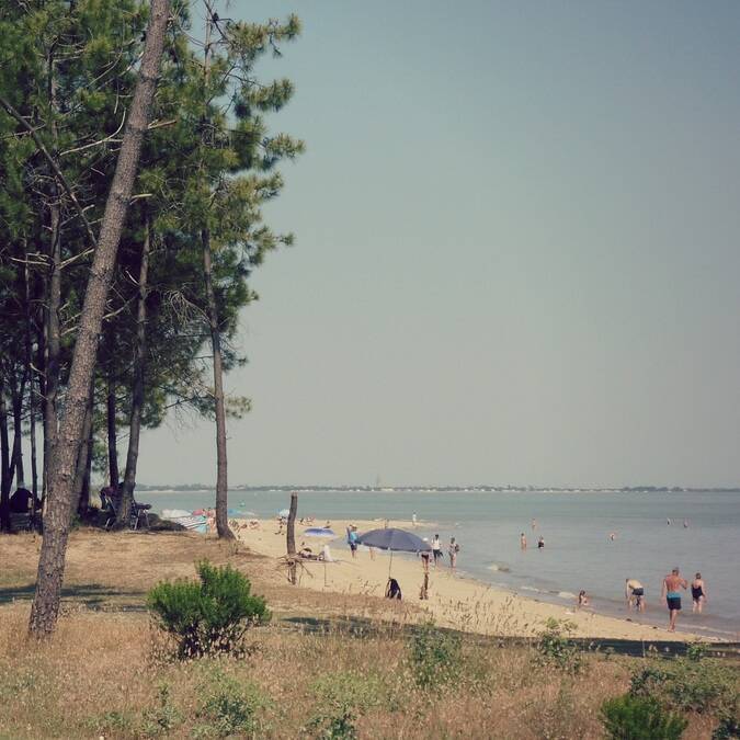Les Plages De Lîle Doléron Campings Atlantique