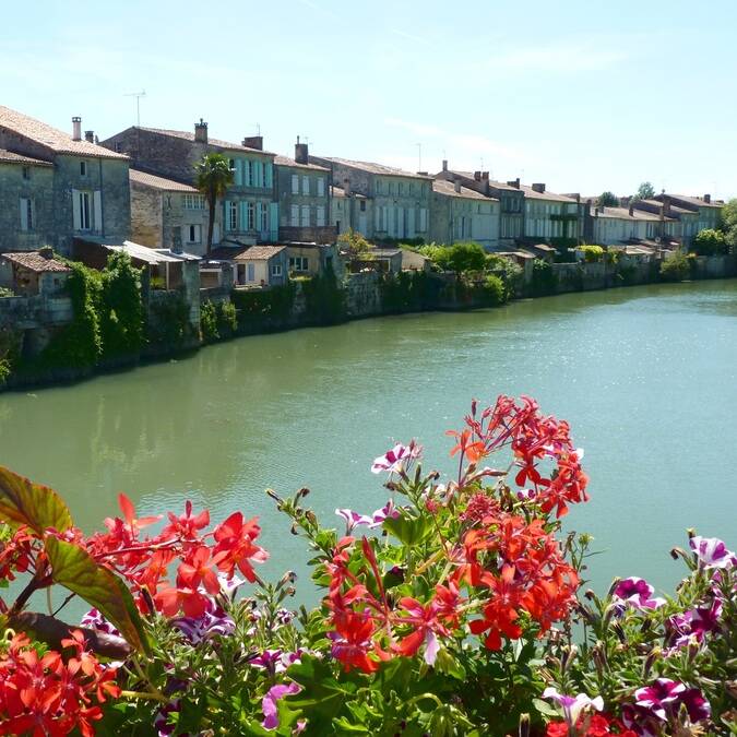 Les bords de Charente à Saint-Savinien - ©FDHPA17