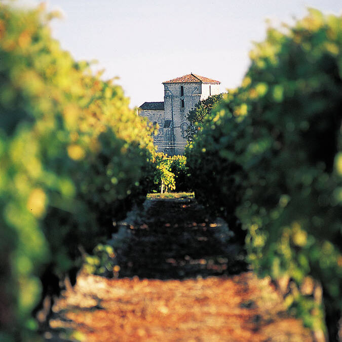 église romane dans les vignes - ©Charentes Tourisme