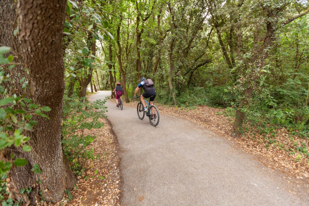 12473911