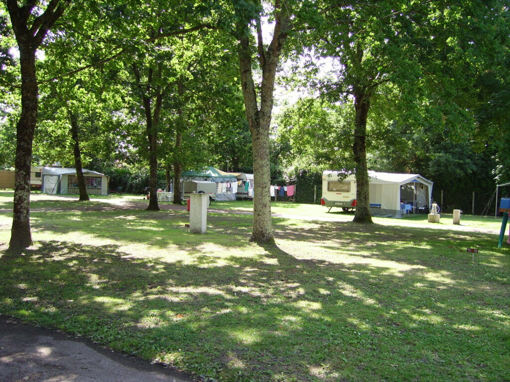 29195770.jpg
