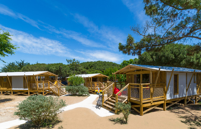 Flower Camping – Bel Air