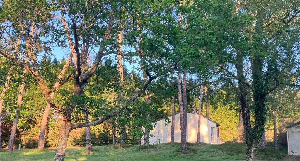 Camping Domaine du Lac