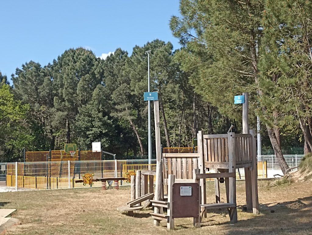 41250942.jpg