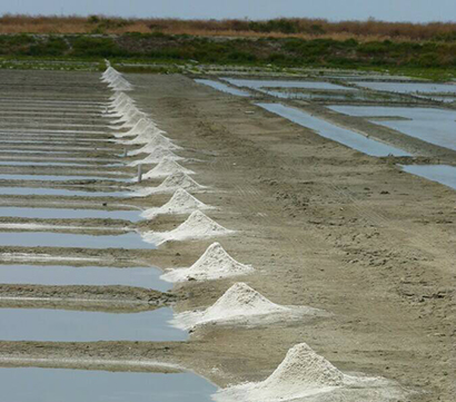 Vue sur les marais salants de l'île de Ré